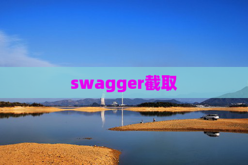 swagger截取